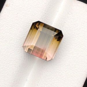 Faceted Bicolour Tourmaline