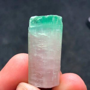 Natural Bi colour Tourmaline Crystal