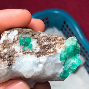 Emerald Specimen’s Lot