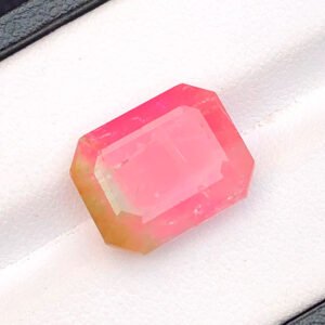 Faceted Bicolour Tourmaline